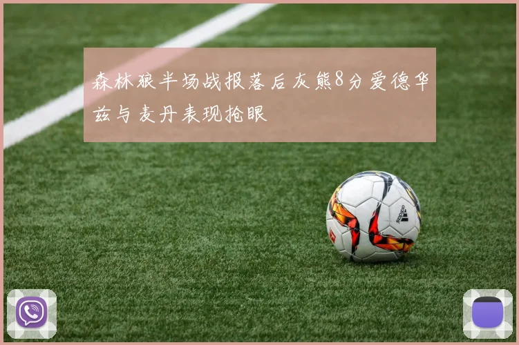 森林狼半场战报落后灰熊8分爱德华兹与麦丹表现抢眼